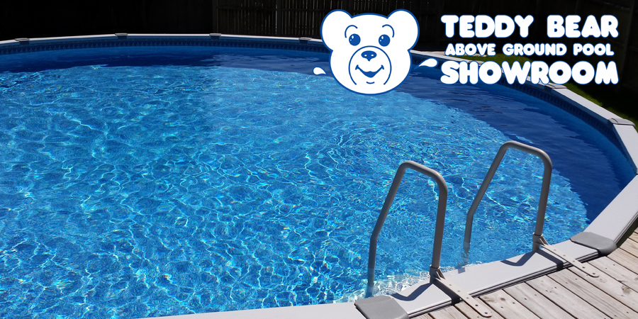 teddy bear pools and spas