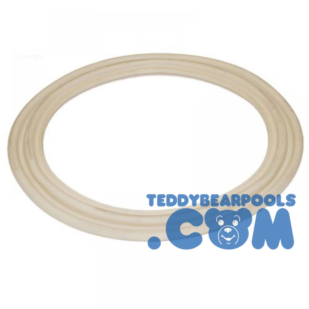 Hayward ECX5000G Diaphragm Gasket Replacement for Hayward Perflex Extended-Cycle D.E Filter 