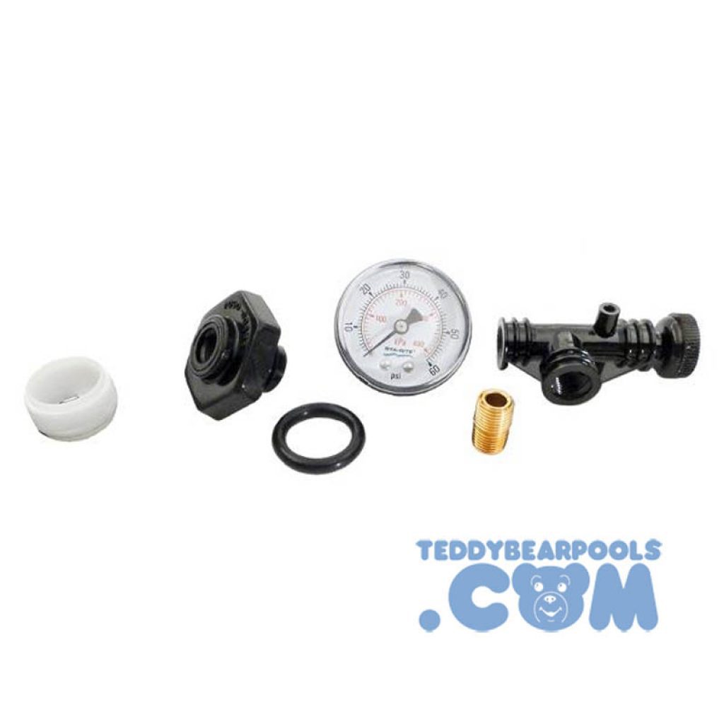 Valve and Gauge Assembly for Sta-Rite System 3 Pool Filters