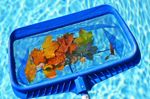 Pool Leaf Skimmer